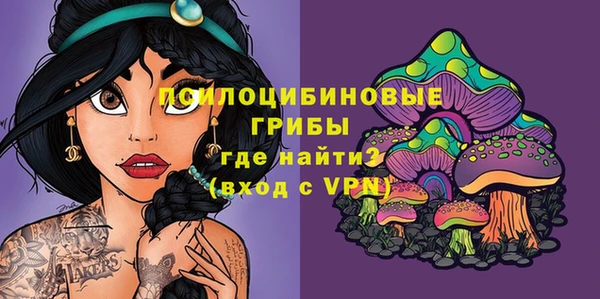 скорость Алексин