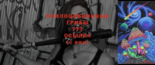 гидропоника Алзамай