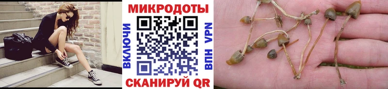 блэк спрут рабочий сайт  Зарайск  Галлюциногенные грибы Psilocybine cubensis 
